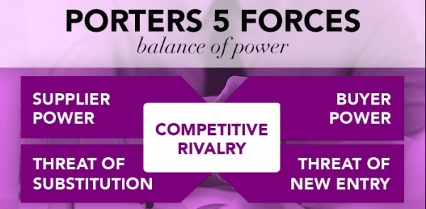 Porter’s 5 Forces: Potential Entrants